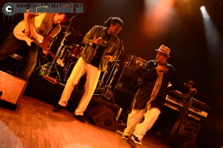 DUB INC - LMB ID:5247