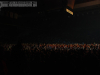 Ska- P - Tesla Arena