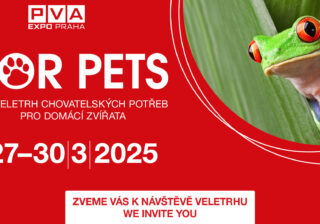 Událost roku pro milovníky zvířat se blíží. Největší chovatelský veletrh FOR PETS se rozšířil o psí výstavy i exotická zvířata